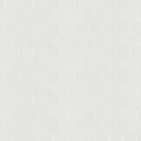 white-matte-2×2-hexagon-mosaic (1)