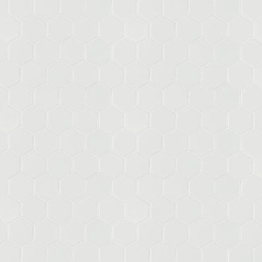 white-matte-2×2-hexagon-mosaic (1)