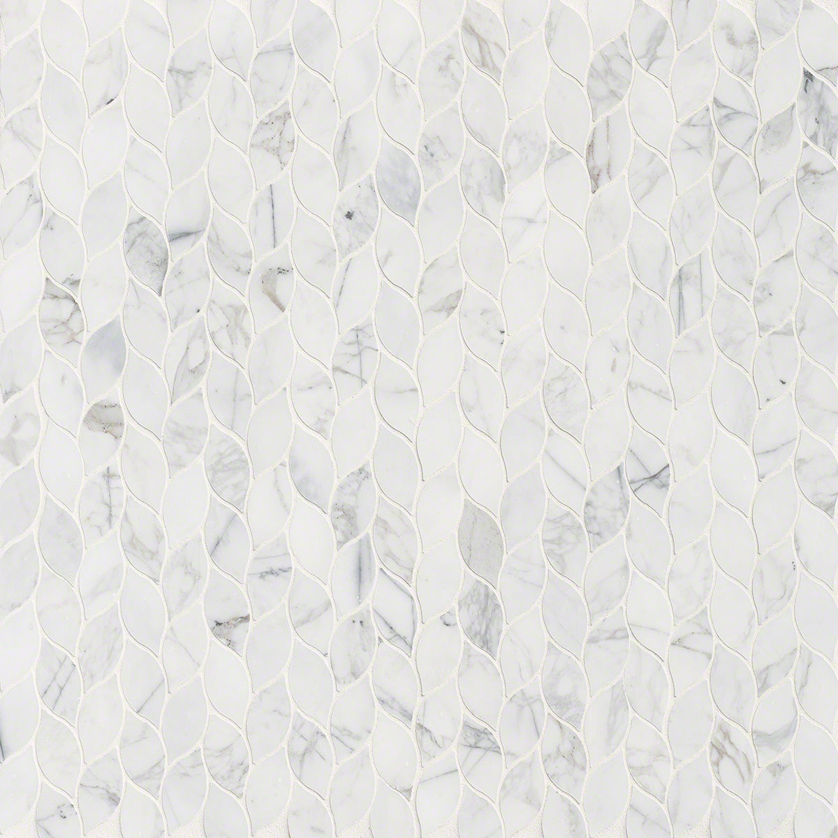 calacatta-blanco-pattern-polished (1)