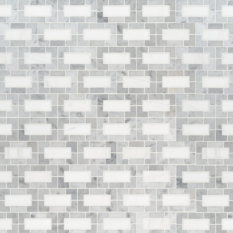 bianco-dolomite-lynx-polished (1)