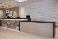 onyx-black-cloud-onyx_elegant-white-marble_arctic-white-stacked-stone_thassos-white-marble-a