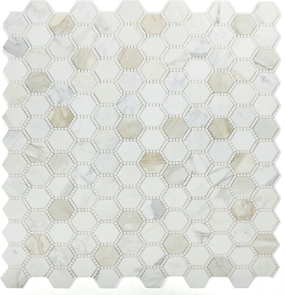 1000_4785-25-03-23-11-16-53 IMG_8035