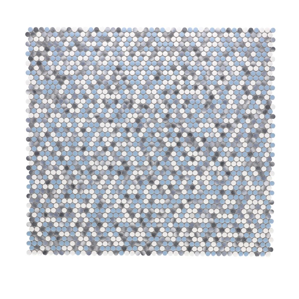 1000_3747-penny round sky(B200+B2712+HCB216) (4)