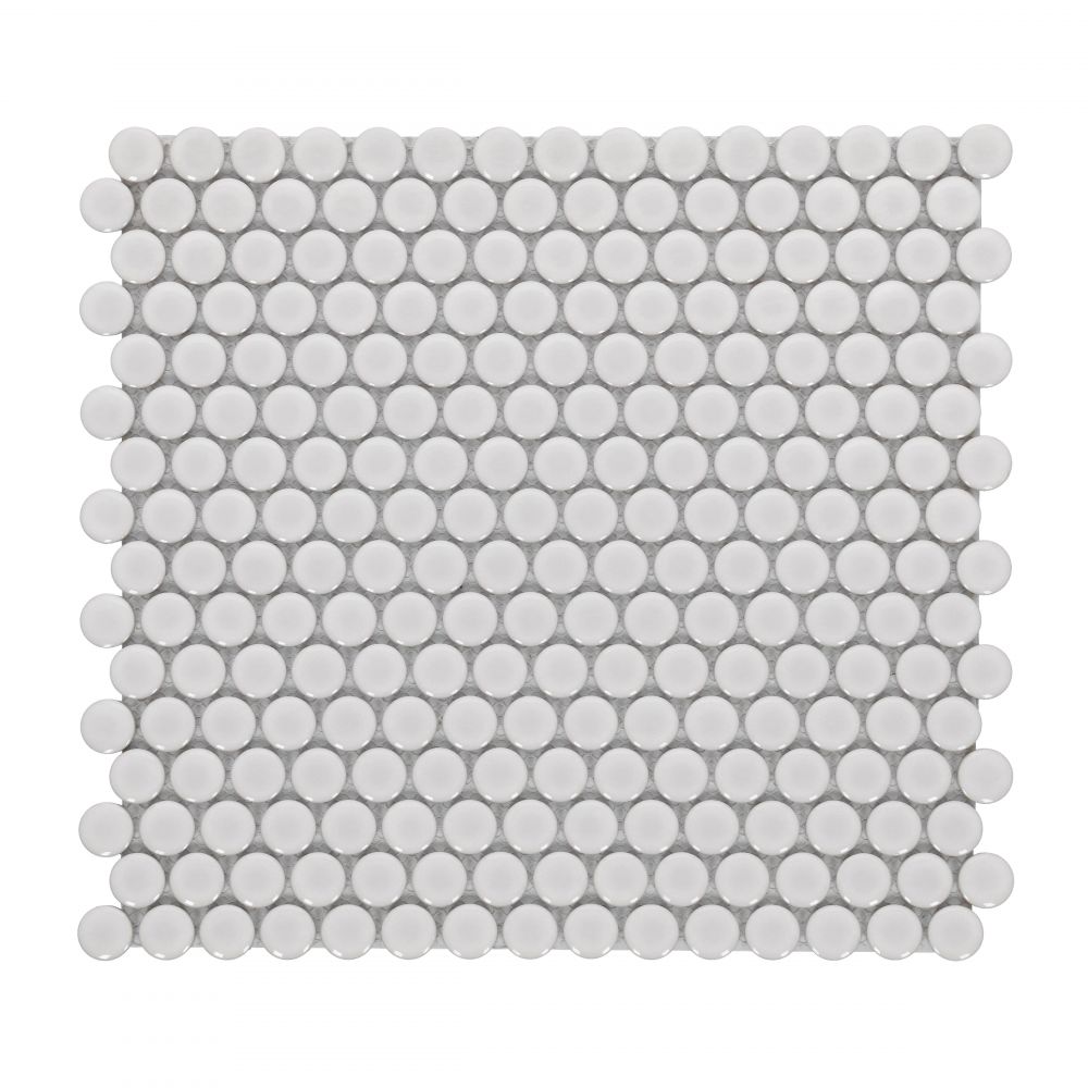 1000_3188-B210-Penny Round Natural Grey Glossy