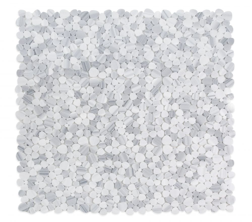 1000_2764-4