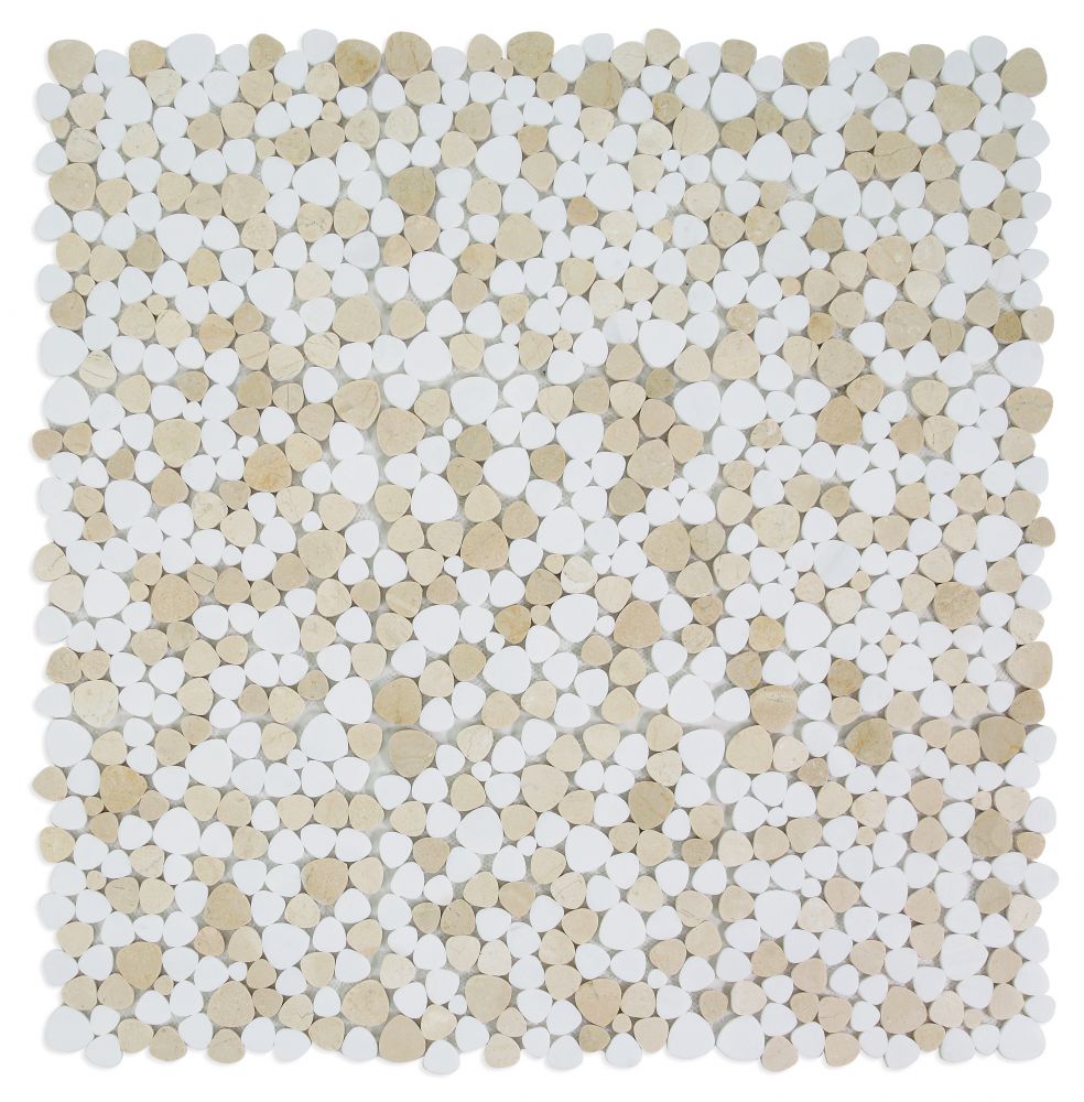 1000_2721-4