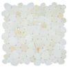 Sample – Aphrodite Onyx White Honed 12 x 12